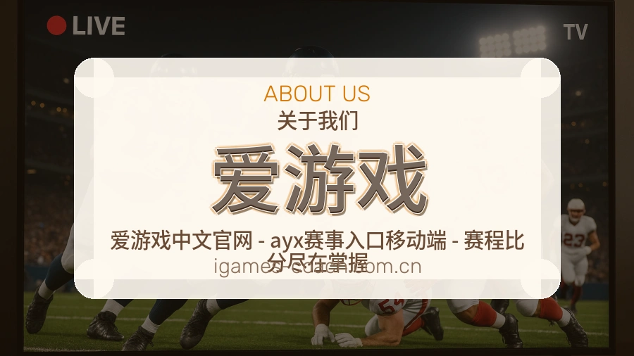 爱游戏看赛与资讯服务